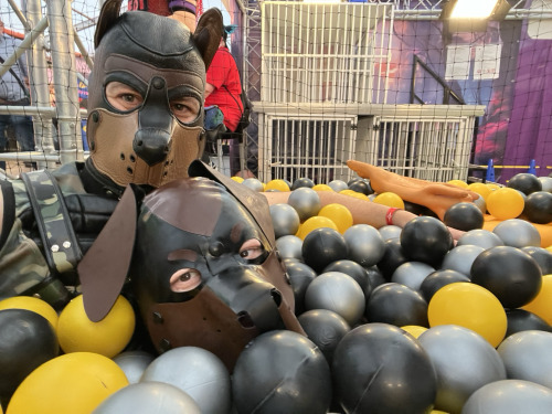 rubberdogscologne - This is Hardcore
