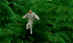 tumblr_oy8h6heJtx1rob81ao2_r1_250.gif