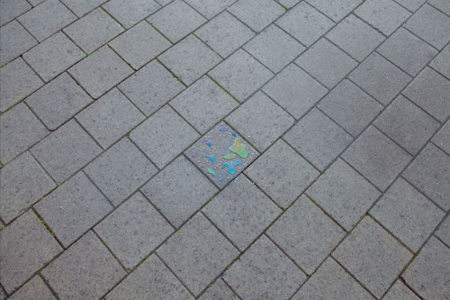 mpdrolet:  From Seeing a rainbowDries Segers