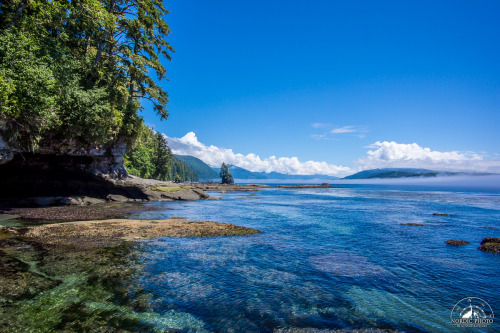 7.7.2014 - day 5 on the West Coast Trail - 1#BC #Canada #VancouverIsland #WestCoastTrail #NordicPhot