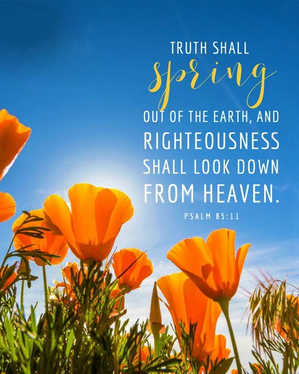 The Living Psalm 85 11 NKJV Truth Shall Spring Out Of The 