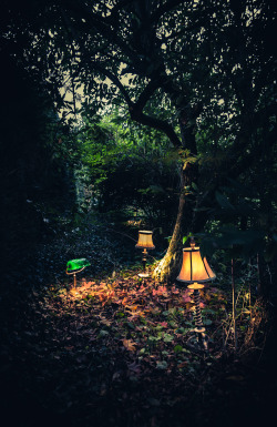 freddie-photography:  In Wonderland - By Freddie Ardley I have decided to make this photograph available to everyone by bringing it to the Society6 Store…enjoy :) Society6.com/frederickphotography 