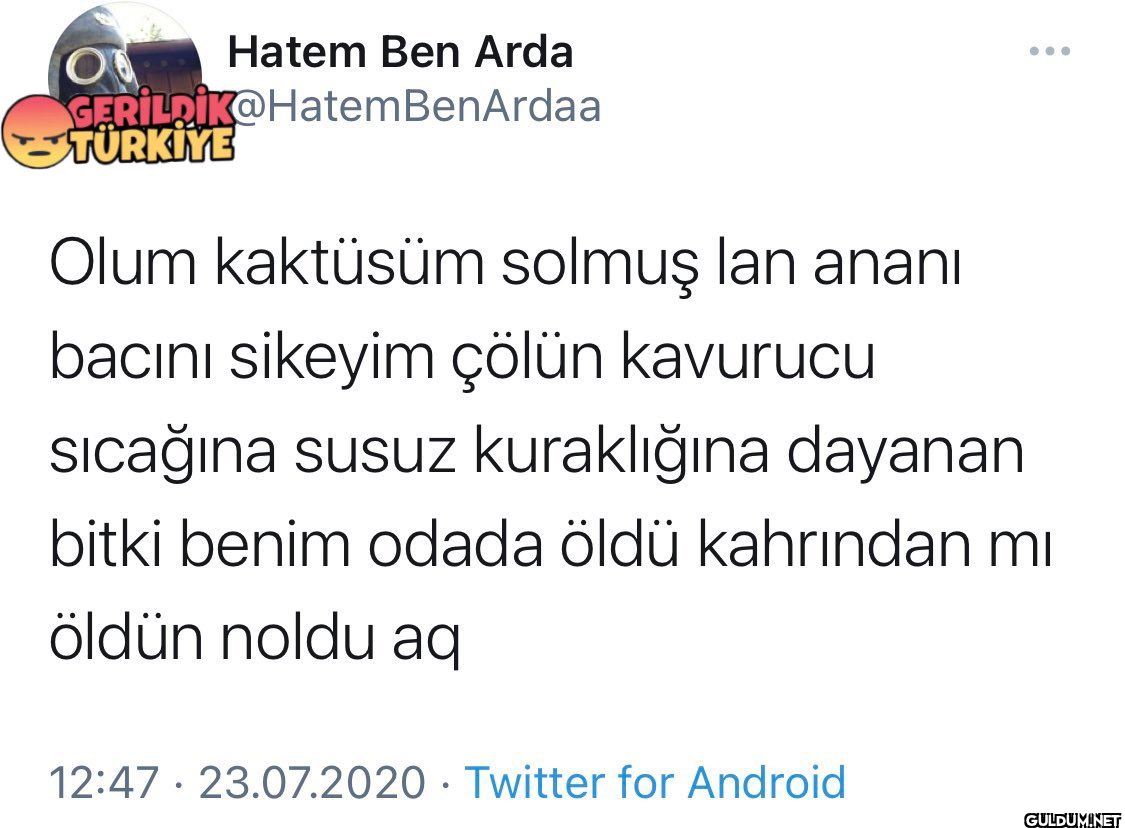 Hatem Ben Arda...