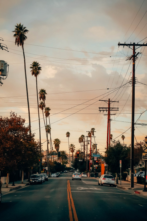 matthewgrantanson: Kingly, Los Angeles – November 2nd, 2019Instagram: @matthewgrantanson