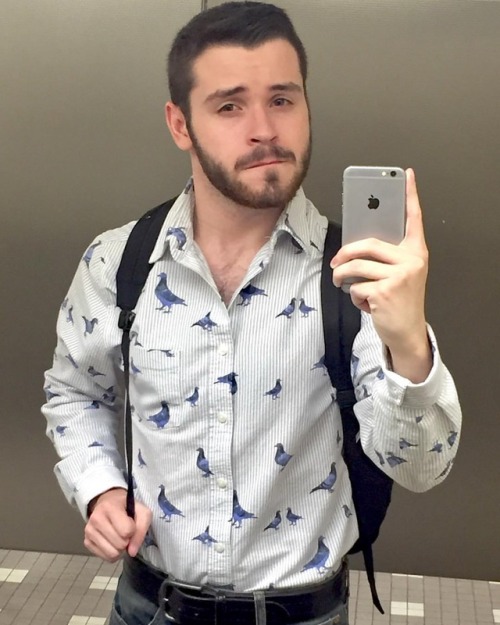 deadtectonics:Note to the uninformed: pigeon shirts make every day better