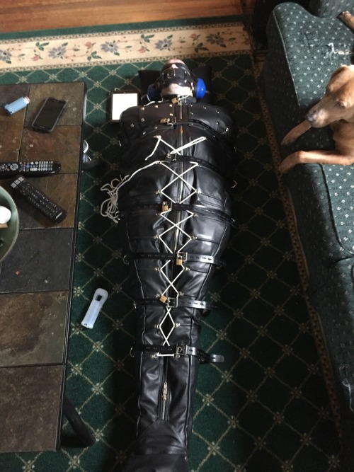 jockwolf:  strapped in nice and tight finished all straps locked in place and ear buds in with head 