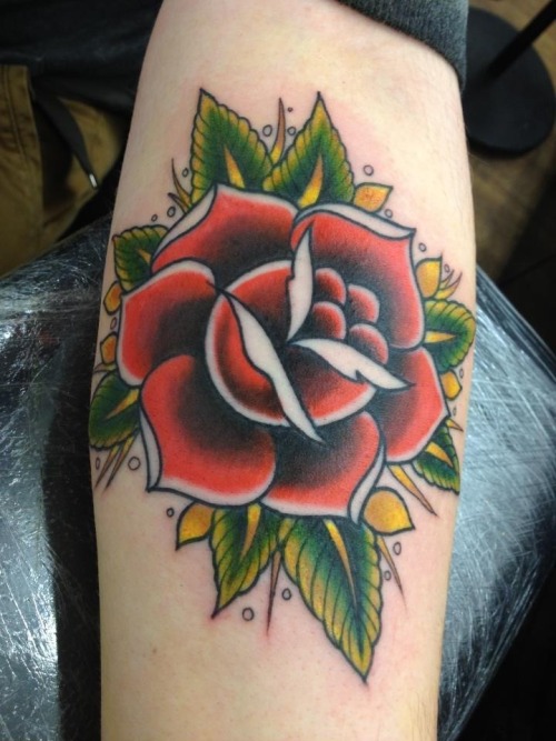 Traditional Rose