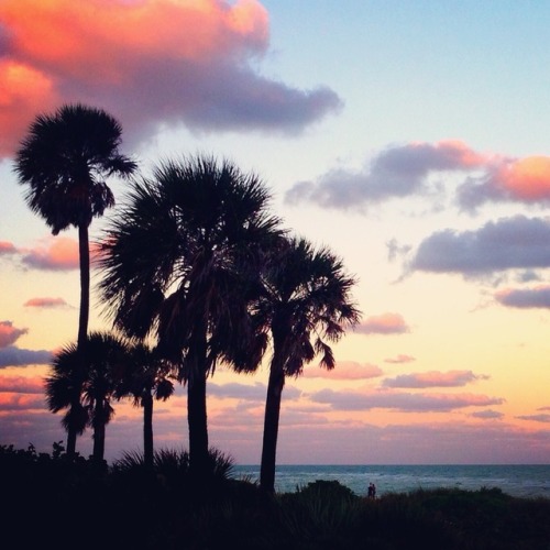 lvgnbreathing:Miami sunset xx