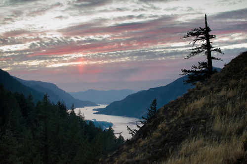 columbia gorge mitchell point by Josh Tayloroutbacktaleshiking.com