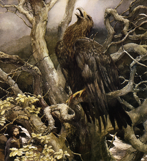 aqua-regia009:  Alan Lee - Illustrations from “The Mabinogion” - Medieval Welsh Tales: «Math, son of