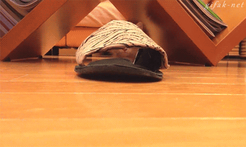 gifarmageddon:Taste these GIFs