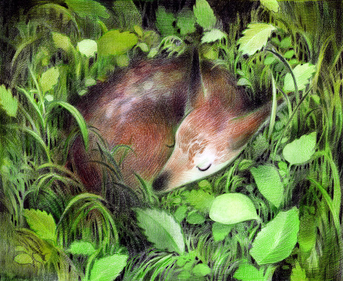 junyiwu:  Daydreamers.First 2 pieces of a new series. I haven’t decided how many more I’m adding, but there will be at least 1 more.