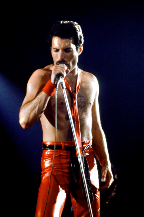 moustachefreddie:““Freddie Mercury live in 1979.”