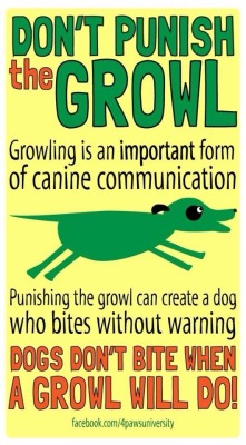 lokithehusky:  lifeoflaverne:  I liked this photo that someone shared on my Facebook feed :)  This is really important! A growl is a dog’s way of saying, “Please stop, you’re making me uncomfortable.” If you don’t stop when the dog growls or