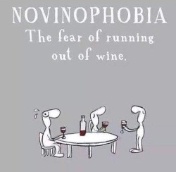 pizzaotter:  baritonevagina:  Uhhhh it wouldn’t be called “novino” that’s retarded. It’d be called avinophobia. Fuckin’ scrubs.  http://www.urbandictionary.com/define.php?term=novinophobiaNo Vino is the joke you absolute fucktard.