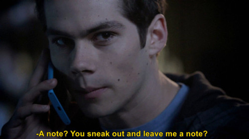 sterek