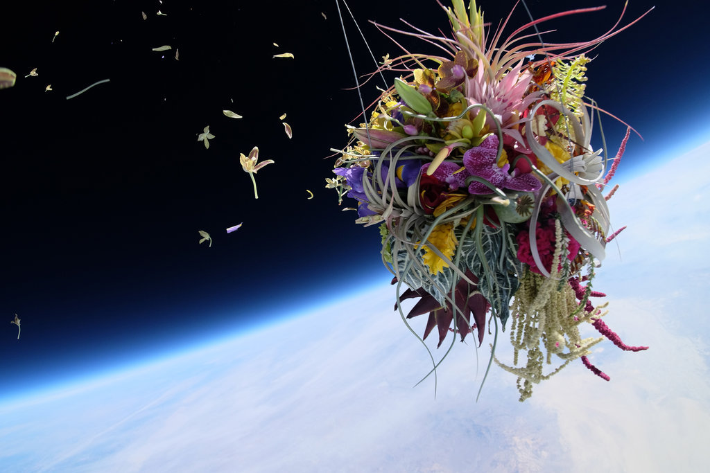 digg:  Azuma Makoto sends flowers to space in his latest installation piece, Exobiotanica.