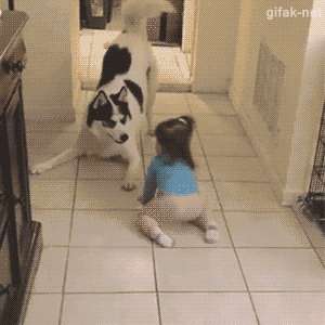 Animated Gifs