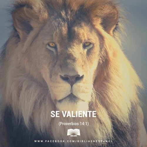 bibliaenespanol:  El malvado huye aunque nadie lo persiga, pero los justos viven confiados como el león. - Proverbios 28:1  #biblia #valor #love #instafaith