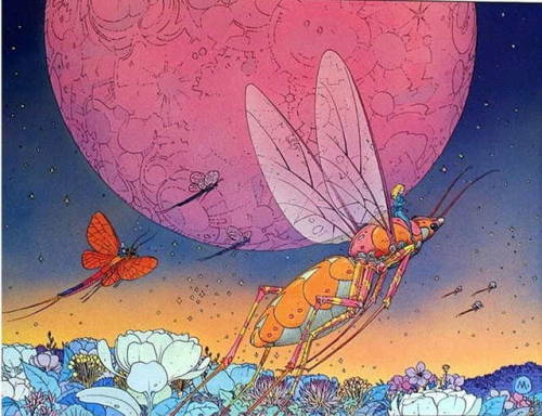 Mœbius