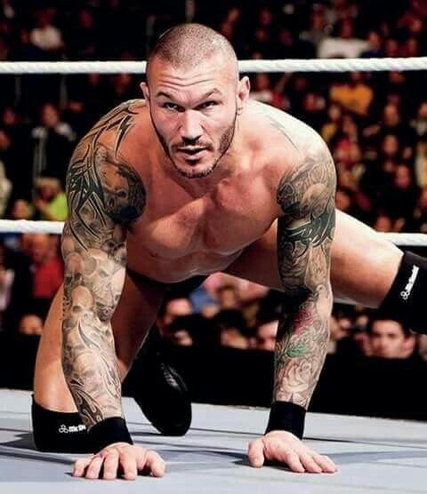 The Legend of the Viper