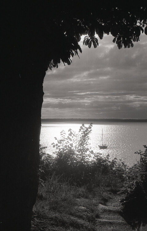 Photography by Visioni ItalianeLocation: Bellingham Bay, WA, USA Technique: Minolta SRT-101 + Arista