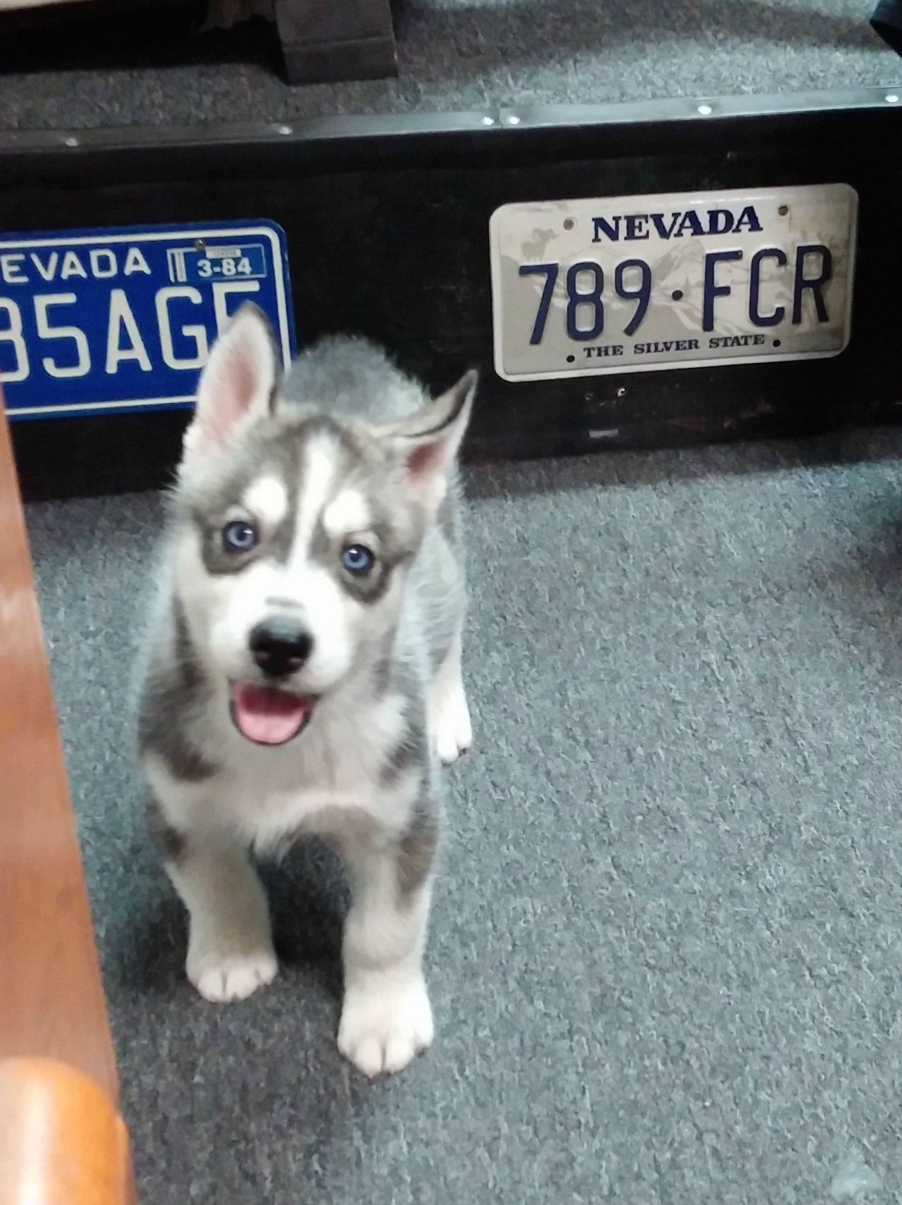 awwww! Cute!