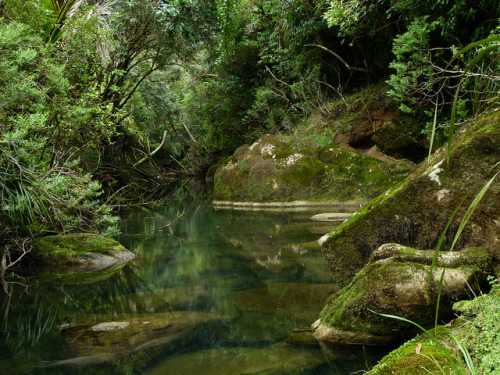 Bullock Creek, Paparoa National Park, Punakaiki by New Zealand Wild on Flickr.