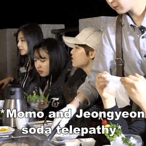 twiceoneinamillion:  MOMO AND SODA FT. JEONGMO’S SODA TELEPATHY 