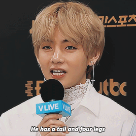 bloombwi: breaking news