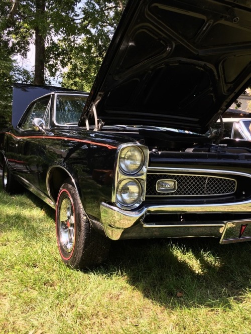 Absolutely immaculate 1967 GTO! Not sure of the engine size as the owner wasn’t around, but th