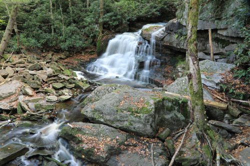 Above are the first two cataracts of Elakala Falls on Shays Run at Blackwater Falls State Park. Two 