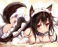 Sexy catgirls and stuff