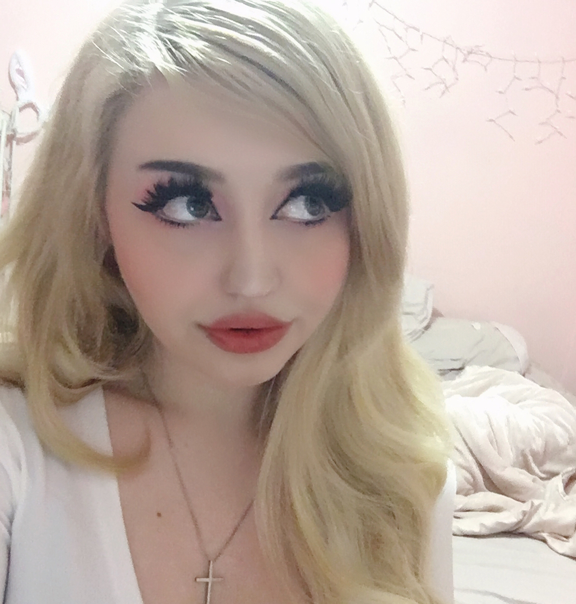bunnypng:🦋💓🐶 ☆．。．:*
