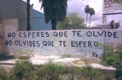 espinosummers:  No lo esperes y no lo olvides…