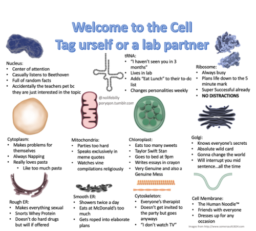 poryqon:WELCOME TO THE CELL I am the cell membrane and cytoplasm