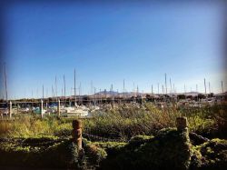 East County Views! #antioch #mtdiablo @mountdiabloca  (at Antioch Marina) https://www.instagram.com/p/B1VZci4gwej/?igshid=h88qxgs6cjbh