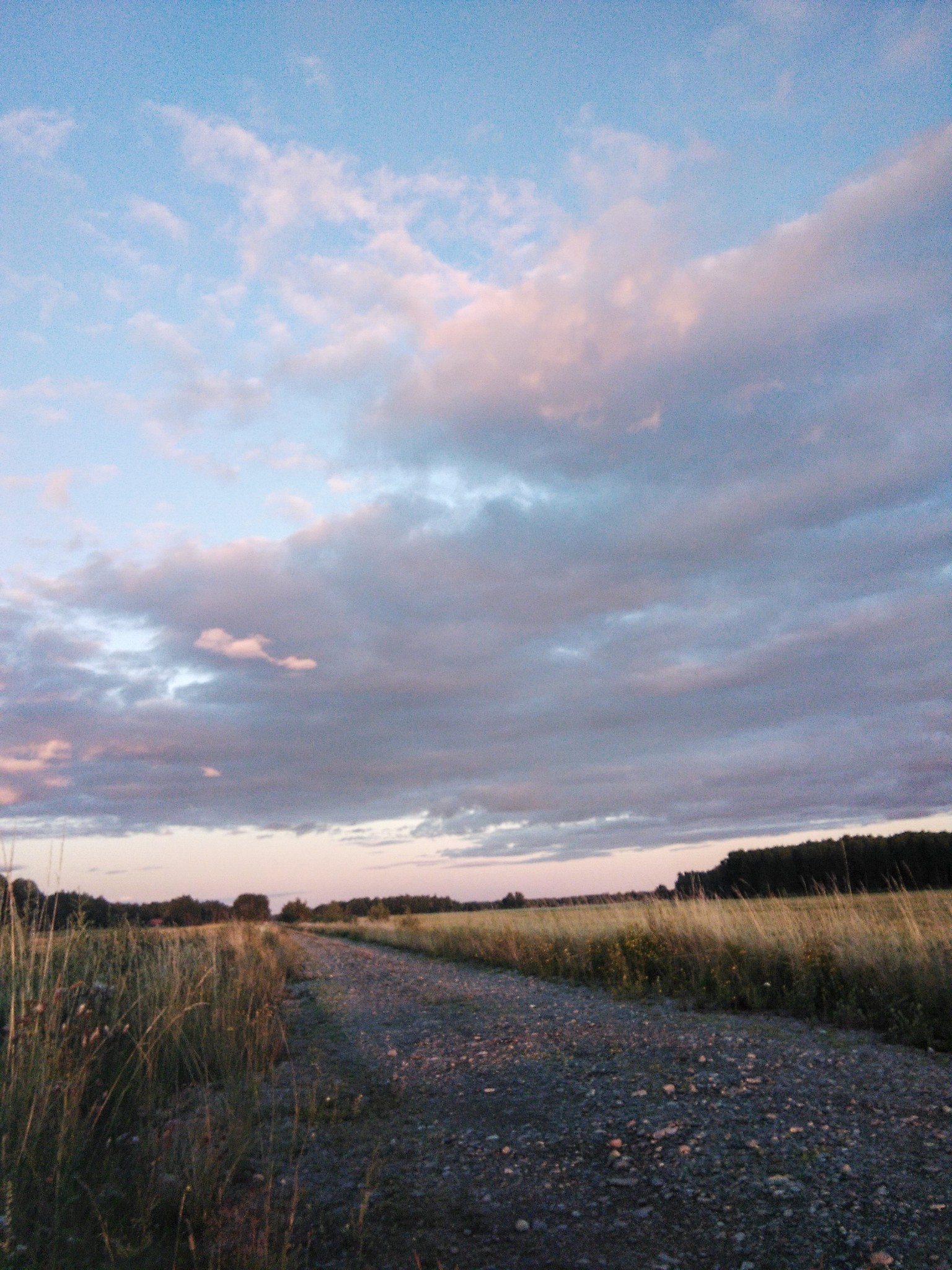 saaraahka:The nice part of summer days <3found no aliens in the crop fields :(