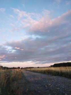 saaraahka:The nice part of summer days <3found no aliens in the crop fields :(