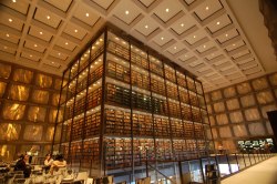 sixpenceee:  When I was younger I loved books so much, I said to myself “I’m going to be a librarian when I grow up!” Now I have other aspirations, but libraries are majestic. 