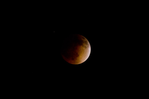 floralgrxxn:  tifferini:  Blood Moon: April 15, 2014 in Los Angeles  I’m kinda bummed I slept through this, but there will be another one in October.