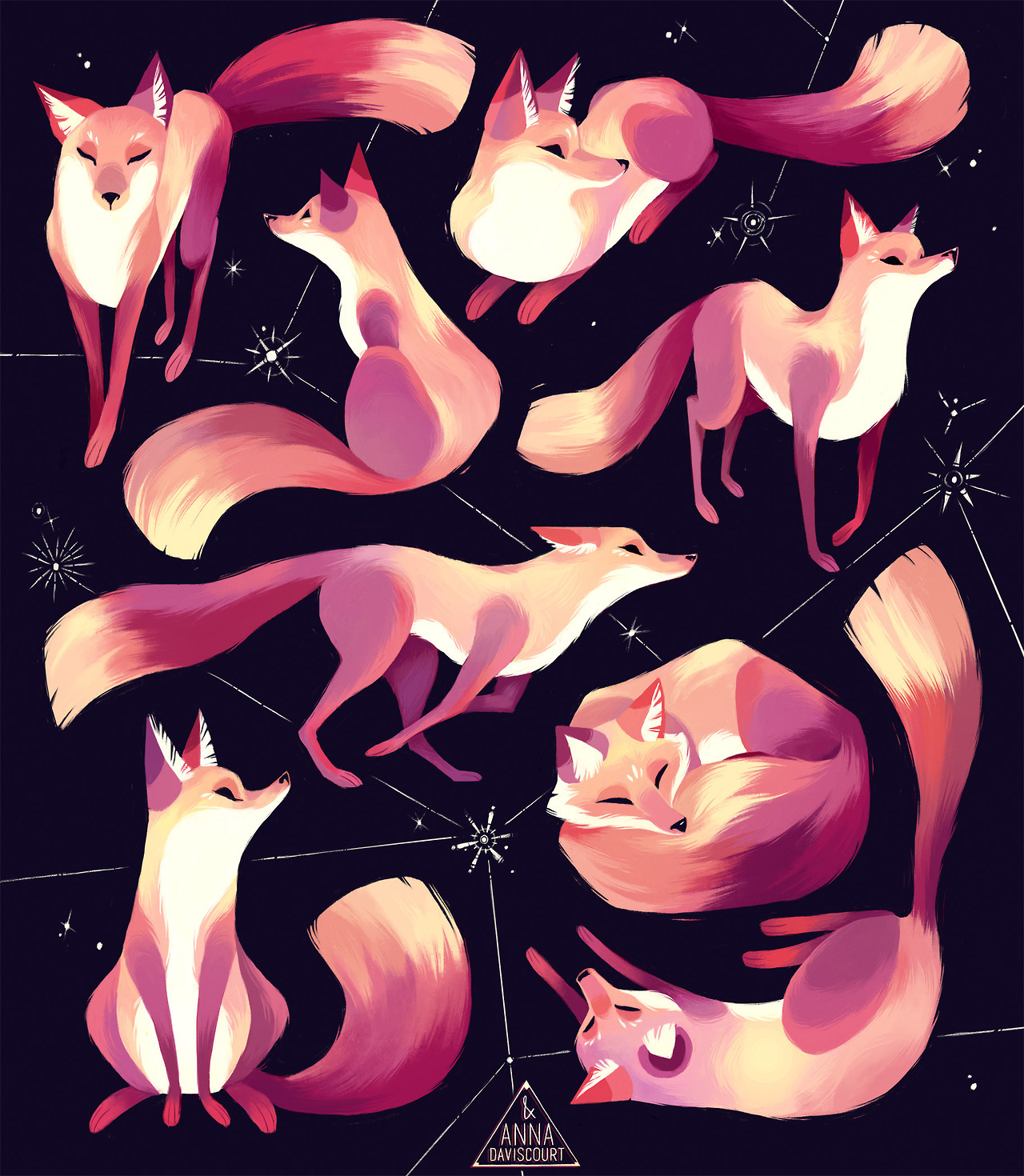 annadaviscourt: Some shapely foxes for your feed!  You can buy prints and products