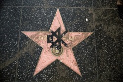 weavemama:shoutout to all the people who took time in decorating trump’s hollywood star the way it should be 