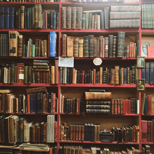 earthtosarah: Hidden away in the Book Barn is the Darwin room, where all the rare and antique books 