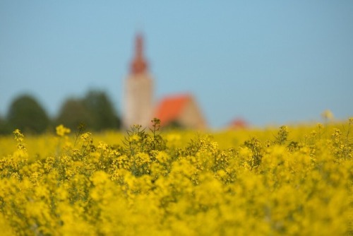 rudolfvlcek:Rural
