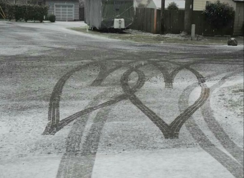 mice-teeth:
“I took this picture at my old house at least 8 years ago when we were about to leave to the store and someone had backed up a couple times and made these perfect two hearts and my mom stopped the car before driving over them so I could...