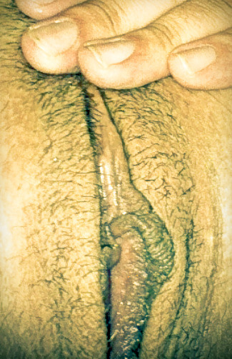 glamilf:  my hot wife?…to see more of her click here  Love to eat her pussy