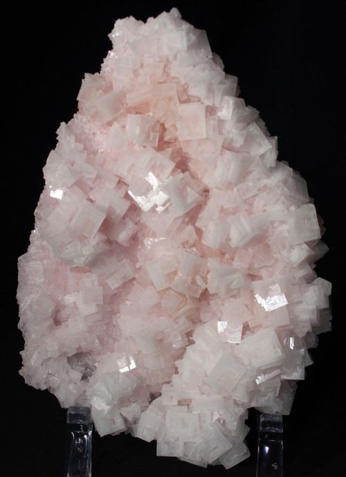 bijoux-et-mineraux: Pink Halite - Searles Lake, California