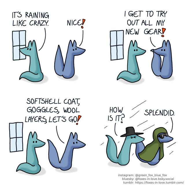 A comic of two foxes, one of whom is blue, the other is green. In this one, Green is looking out of the window as Blue looks delighted.
Green: It's raining like crazy.
Blue: Nice!

Green looks at Blue with mild confusion, as Blue elaborates.
Blue: I get to try out all my new gear!

Blue dashes into action, full of excitement.
Blue: Softshell coat, goggles, wool layers, let's go!

Blue and Green head out into the rain. Blue is wearing a coat and goggles, while Green is managing with only a brimmed felt hat.
Green: How is it?
Blue: Splendid.