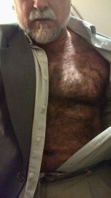 hairy chest - sexy muscle - mature men